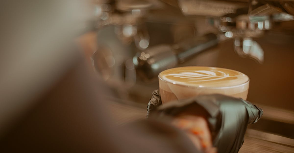 Steppecoffee Cafe / Restaurant about